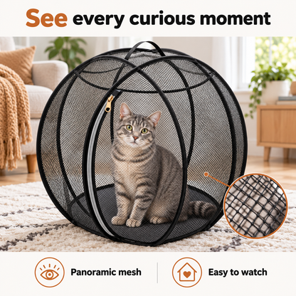 PurrRoam™ Backyard Freedom